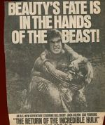 Watch The Return of the Incredible Hulk Myflixer