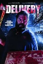 Watch Delivery Myflixer