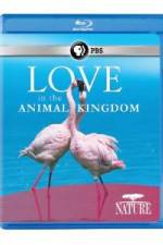 Watch Nature: Love in the Animal Kingdom Myflixer
