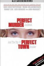 Watch Perfect Murder Perfect Town JonBenet and the City of Boulder Myflixer