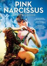 Watch Pink Narcissus Myflixer