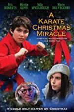 Watch A Karate Christmas Miracle Myflixer