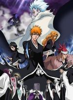 Watch Bleach the Movie 2: The Diamond Dust Rebellion Myflixer