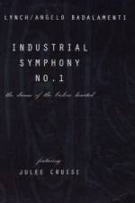 Watch Industrial Symphony No 1 The Dream of the Brokenhearted Myflixer