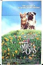 Watch Milo and Otis Myflixer
