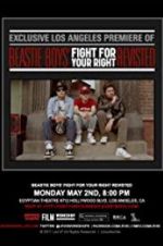 Watch Beastie Boys: Fight for Your Right Revisited Myflixer