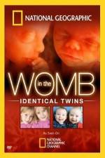 Watch National Geographic: In the Womb - Identical Twins Myflixer
