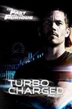 Watch Turbo Charged Prelude to 2 Fast 2 Furious Myflixer