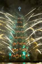 Watch Extreme Christmas Trees Myflixer