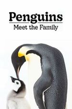Watch Penguins: Meet the Family Myflixer