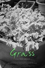 Watch Grass Myflixer
