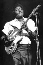 Watch Albert Collins in Concert Myflixer