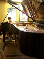 Watch Note by Note: The Making of Steinway L1037 Myflixer