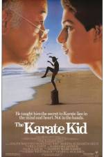 Watch The Karate Kid Myflixer