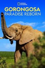 Watch Gorongosa: Paradise Reborn (Short 2022) Myflixer