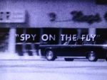 Watch Spy on the Fly (Short 1967) Myflixer