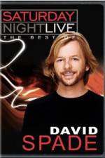 Watch Saturday Night Live The Best of David Spade Myflixer