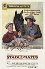 Watch Stablemates Myflixer