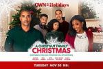 Watch A Chestnut Family Christmas Myflixer