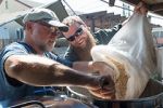 Watch Brewmance Myflixer