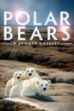 Watch Polar Bears: A Summer Odyssey Myflixer