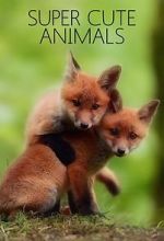 Watch Super Cute Animals Myflixer