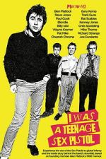 Watch I Was a Teenage Sex Pistol Myflixer