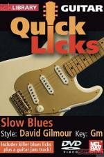 Watch Lick Library Quick Licks David Gilmour Myflixer