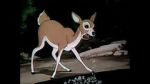 Watch Wacky Wildlife (Short 1940) Myflixer