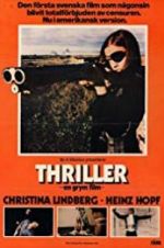 Watch Thriller: A Cruel Picture Myflixer