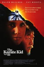 Watch The Karate Kid Part III Myflixer