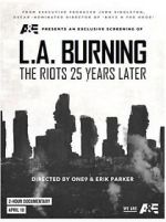 Watch L.A. Burning: The Riots 25 Years Later Myflixer