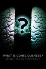 Watch What Is Consciousness? What Is Its Purpose? Myflixer