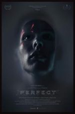 Watch Perfect Myflixer