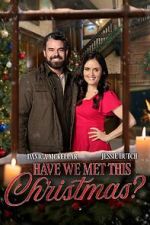 Watch Have We Met This Christmas Myflixer