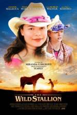 Watch The Wild Stallion Myflixer