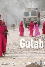 Watch Gulabi Gang Myflixer