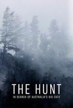 Watch The Hunt: In Search of Australia\'s Big Cats Myflixer