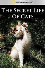 Watch The Secret Life of Cats Myflixer