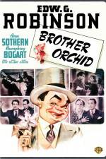 Watch Brother Orchid Myflixer