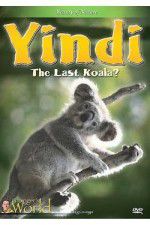 Watch Yindi the Last Koala Myflixer