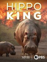 Watch Hippo King Myflixer