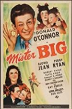 Watch Mister Big Myflixer