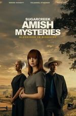 Watch Sugarcreek Amish Mysteries: Blessings in Disguise Myflixer