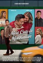 Watch Meet Cute in Manhattan Myflixer