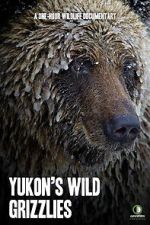 Watch Yukon\'s Wild Grizzlies Myflixer