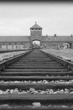 Watch AUSCHWITZ: ORDERS AND INITIATIVES Myflixer