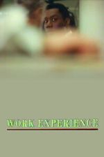 Watch Work Experience Myflixer