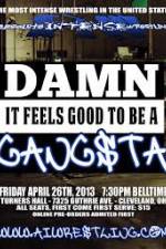 Watch AIW Damn It Feels Good To Be A Gangsta Myflixer