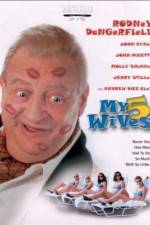 Watch My 5 Wives Myflixer